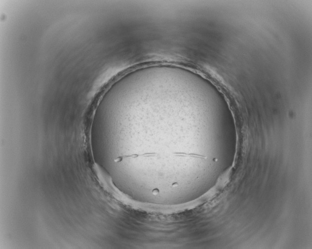 X0000087391215200705042002