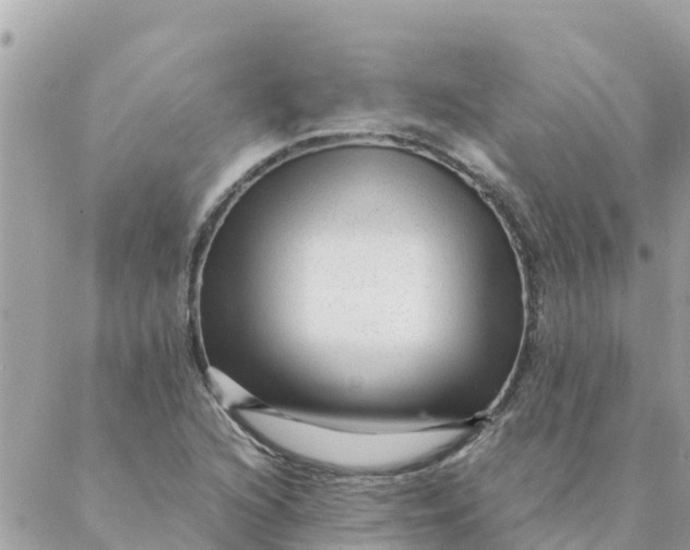 X0000087391216200705042002