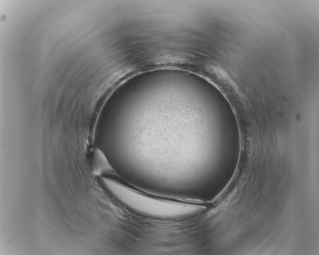 X0000087391217200705042002