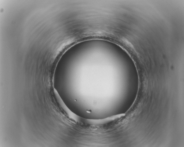 X0000087391218200705042002