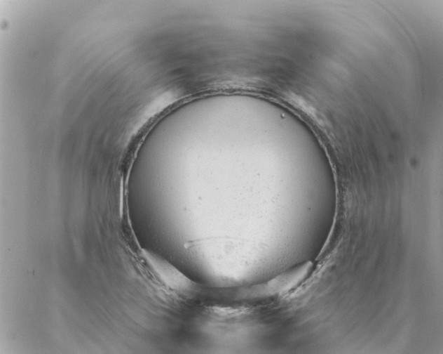 X0000087391219200705042002