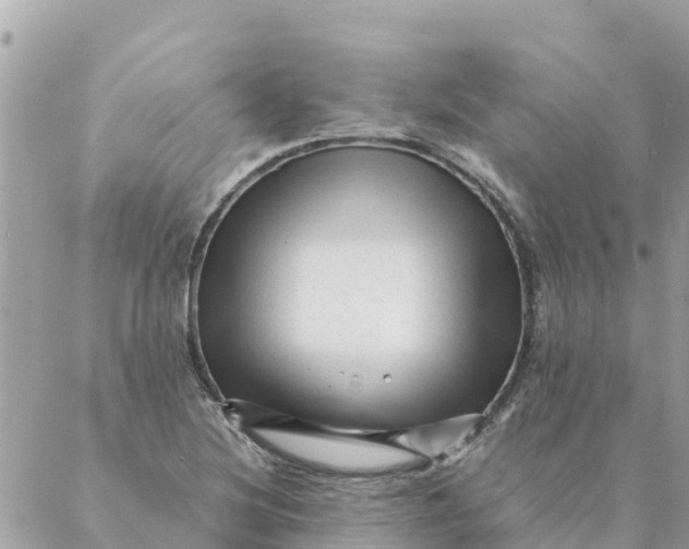 X0000087391220200705042002