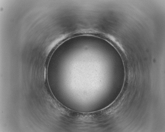 X0000087391221200705042002