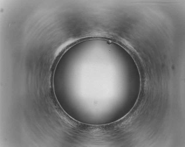 X0000087391222200705042002