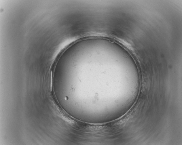 X0000087391223200705042002