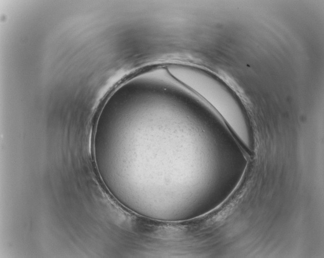 X0000087391224200705042002