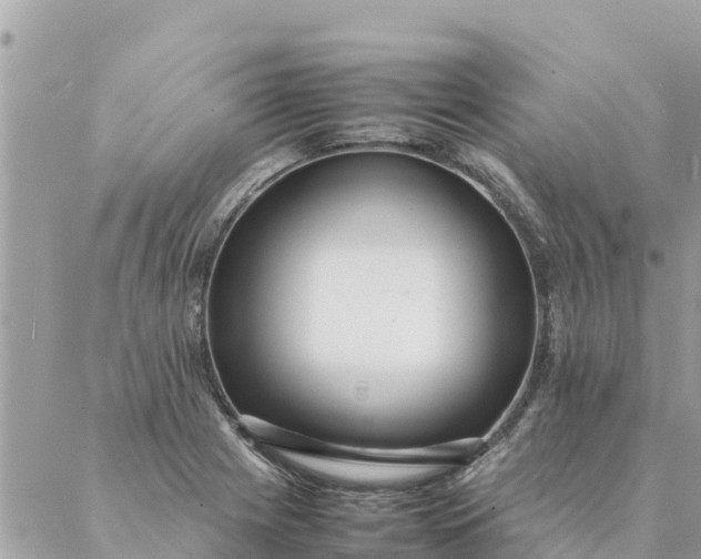 X0000087391225200705042002