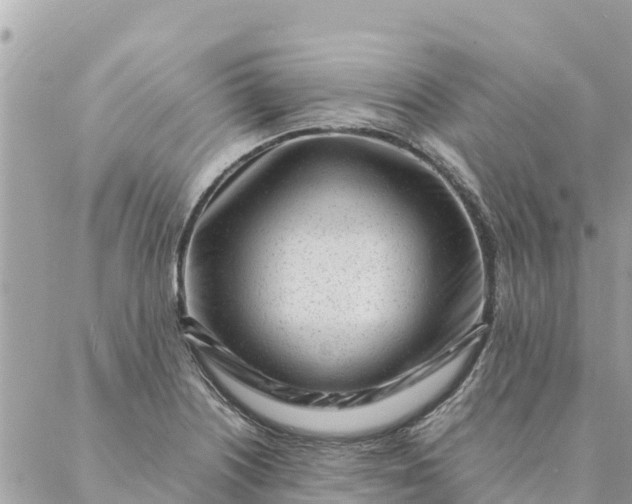 X0000087391226200705042002