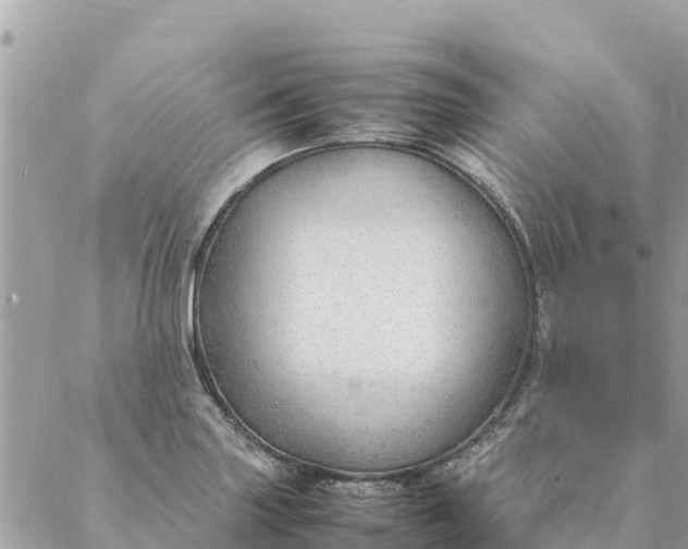 X0000087391227200705042002