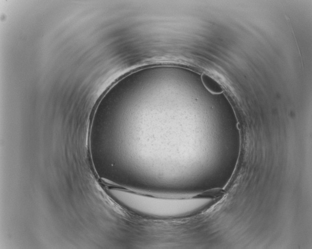 X0000087391228200705042002