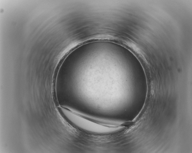 X0000087391229200705042002