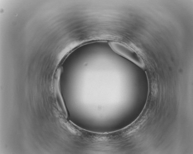 X0000087391230200705042002