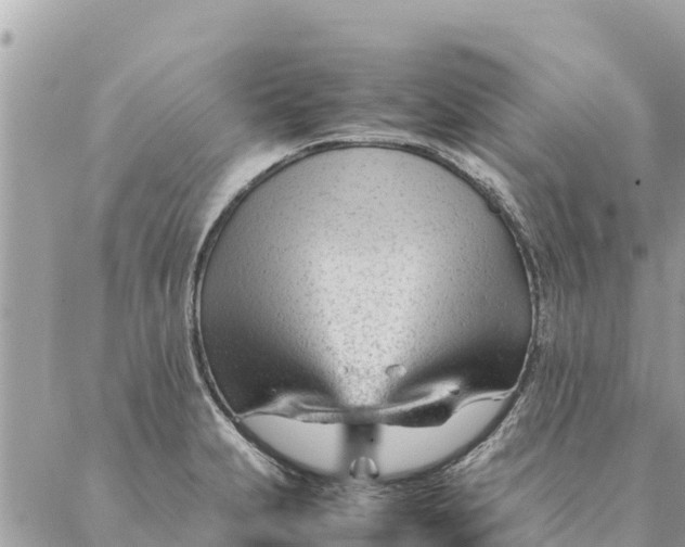 X0000087391231200705042002