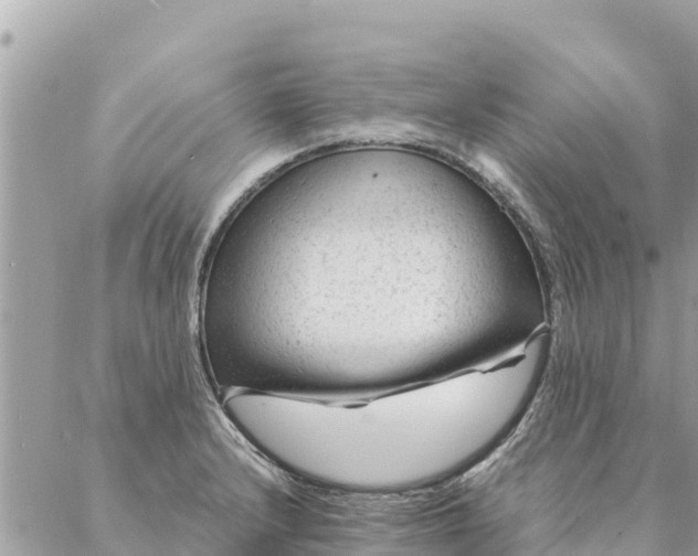 X0000087391232200705042002