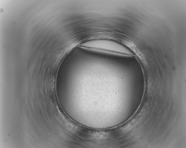 X0000087391233200705042002