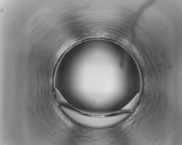 X0000087391234200705042002