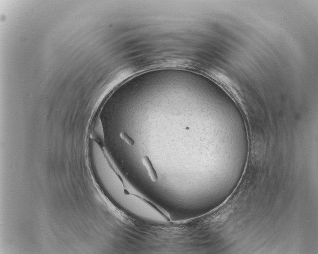 X0000087391235200705042002