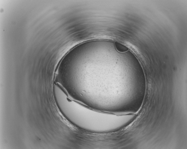 X0000087391236200705042002