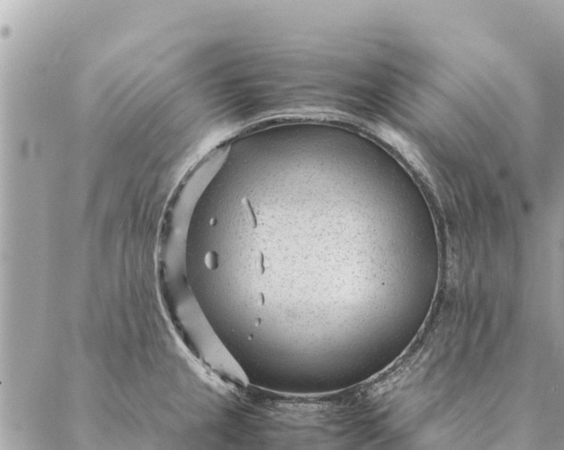 X0000087391237200705042002