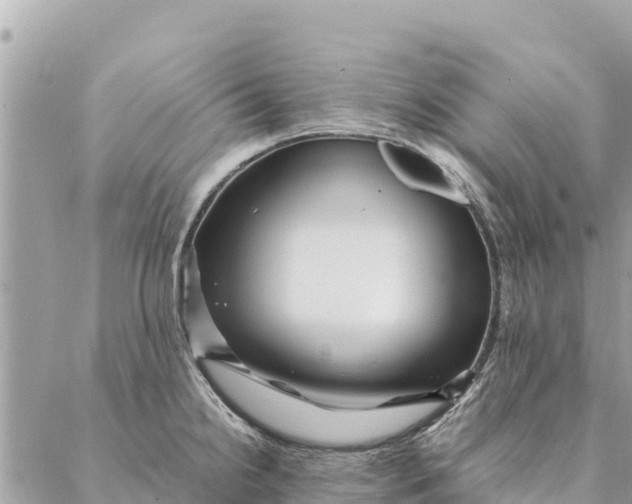 X0000087391238200705042002