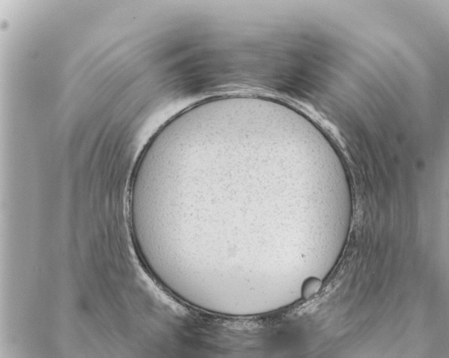 X0000087391239200705042002