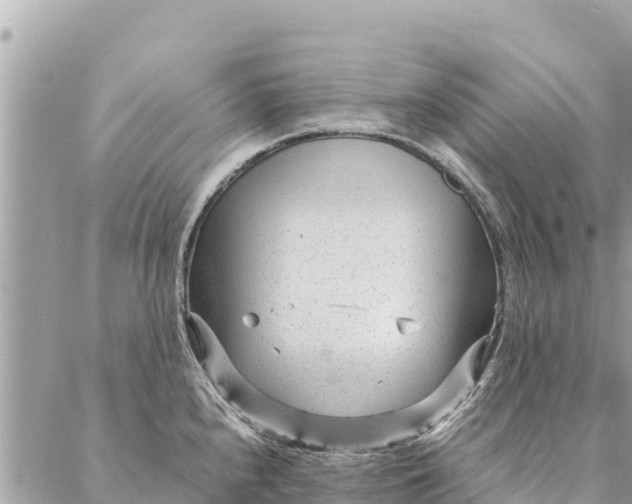 X0000087391240200705042002