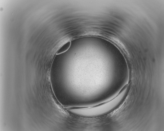 X0000087391241200705042002