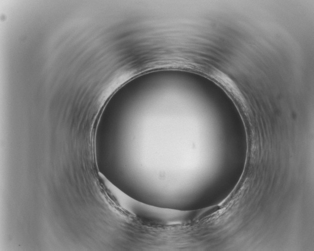 X0000087391242200705042002