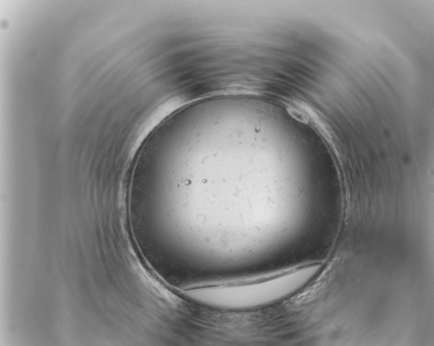 X0000087391243200705042002