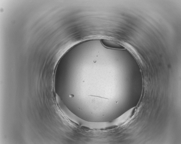 X0000087391244200705042002