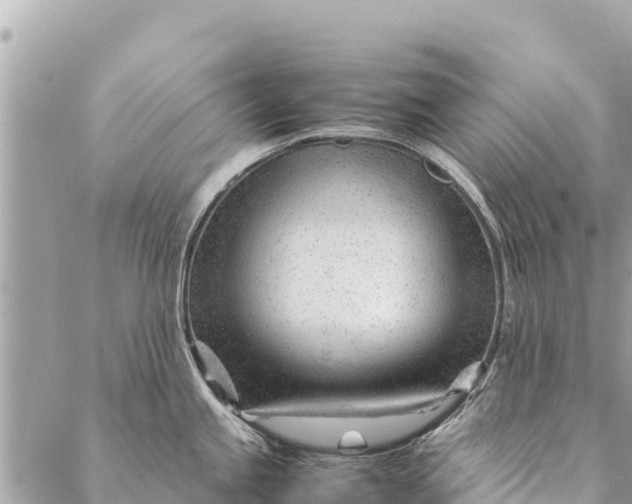 X0000087391245200705042002