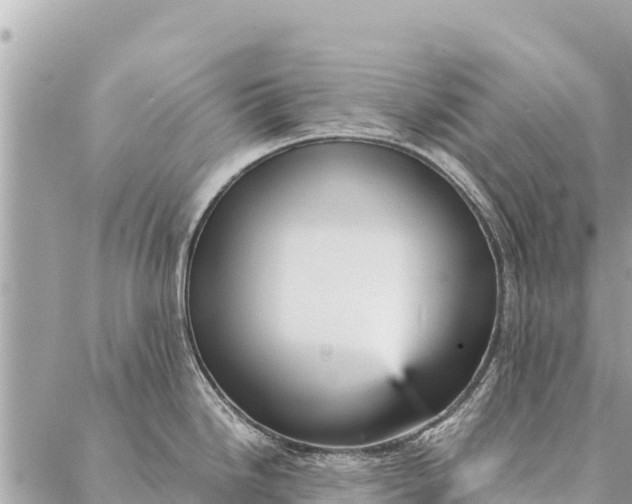 X0000087391246200705042002