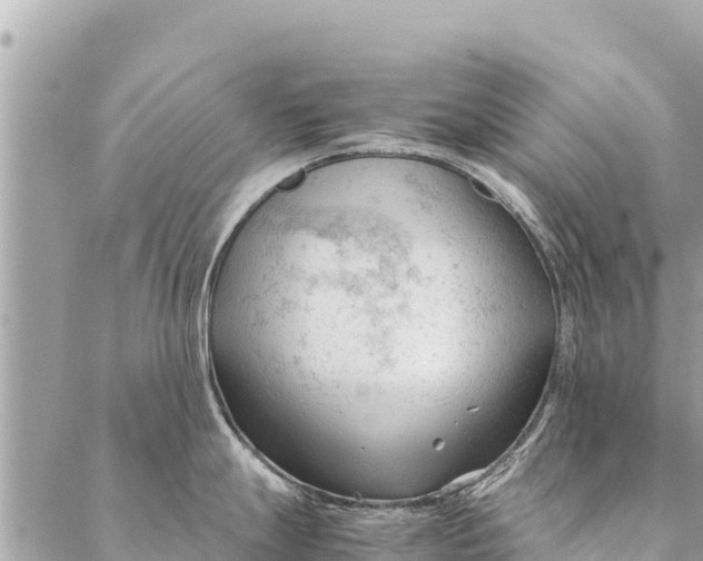 X0000087391247200705042002