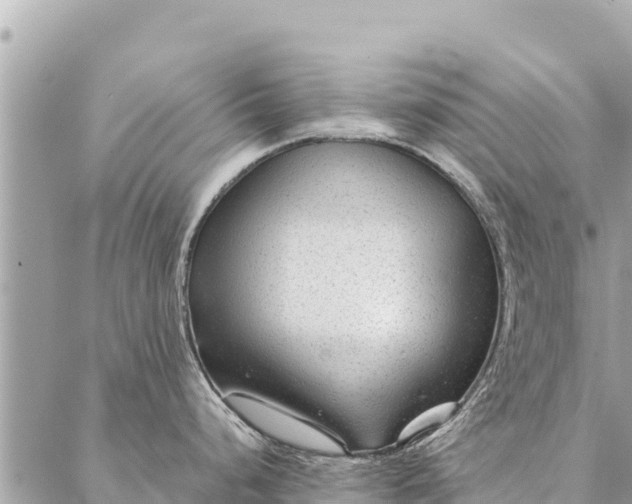 X0000087391248200705042002