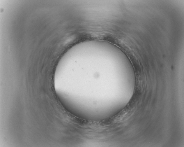 X0000087391249200705042002