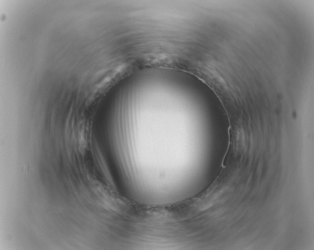 X0000087391250200705042002