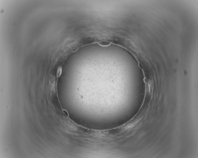 X0000087391251200705042002