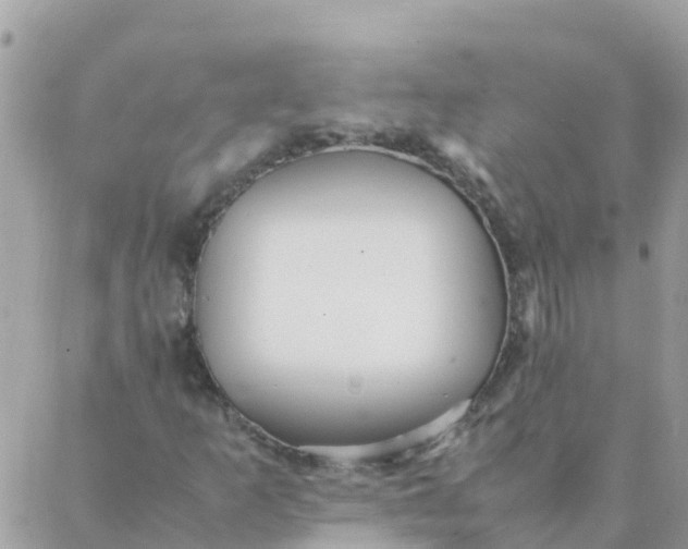 X0000087391253200705042001