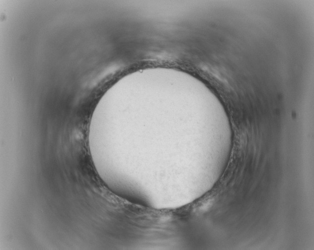 X0000087391254200705042001