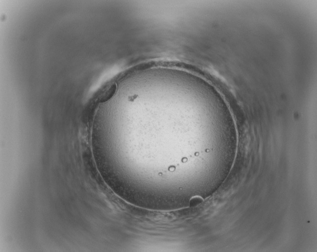 X0000087391255200705042001