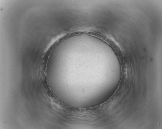 X0000087391256200705042001