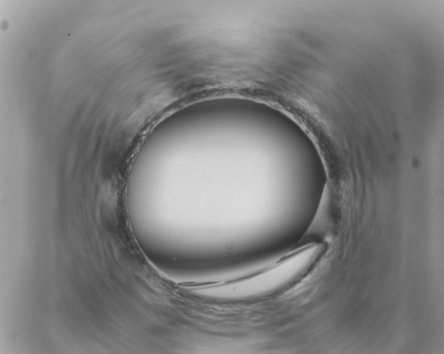 X0000087391257200705042001