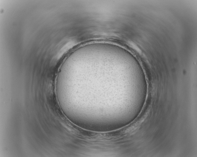 X0000087391259200705042001