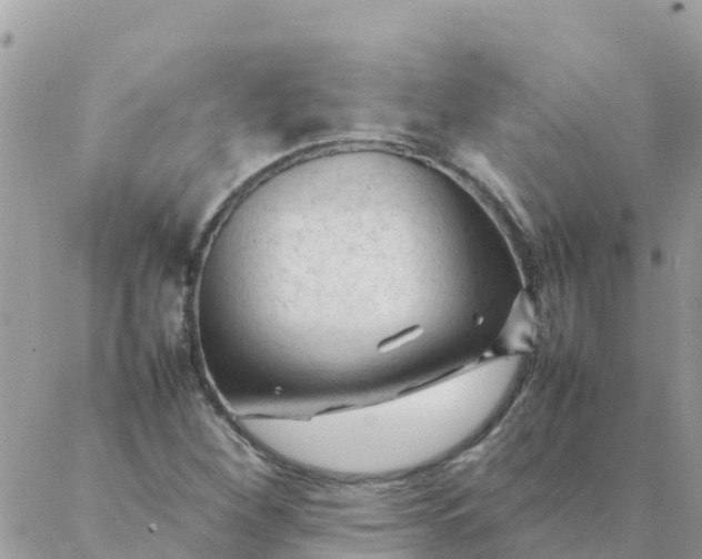 X0000087391260200705042001