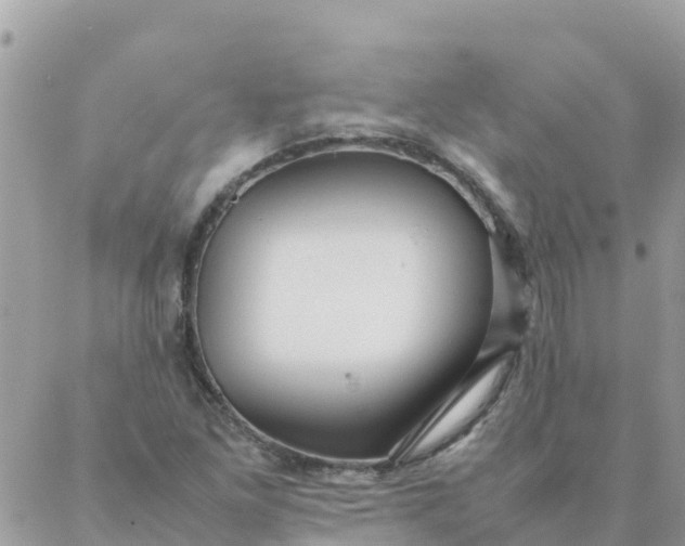 X0000087391261200705042001