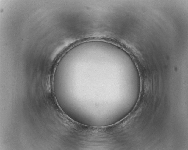 X0000087391262200705042001