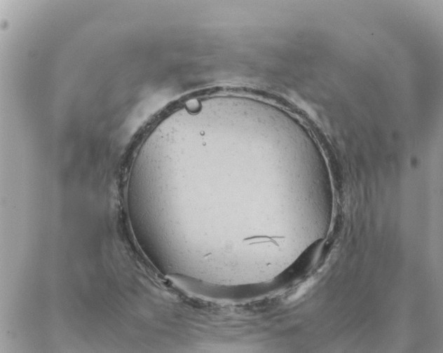 X0000087391263200705042001