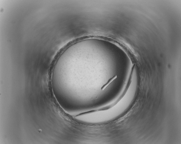 X0000087391264200705042001