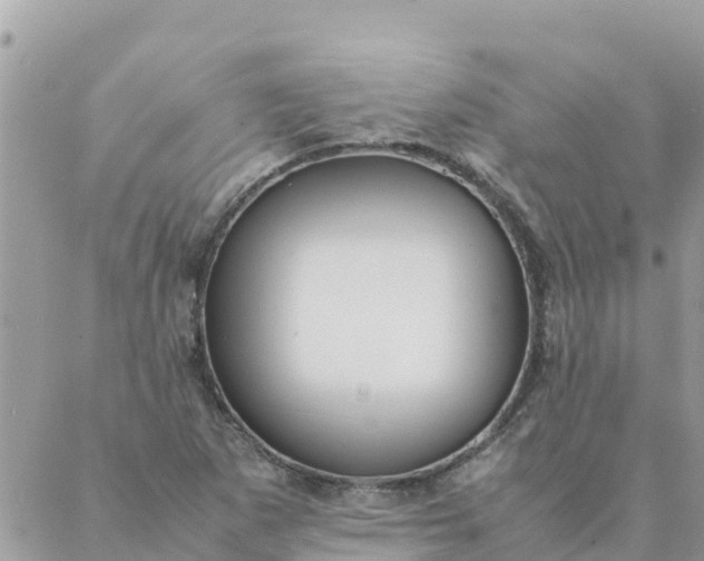 X0000087391265200705042001