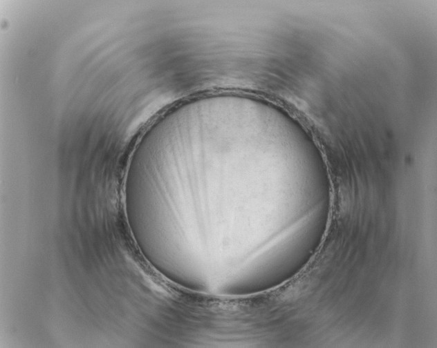 X0000087391266200705042001